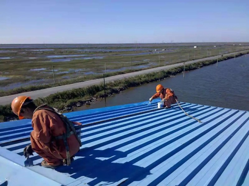 王屋镇钢结构屋面漏水原因